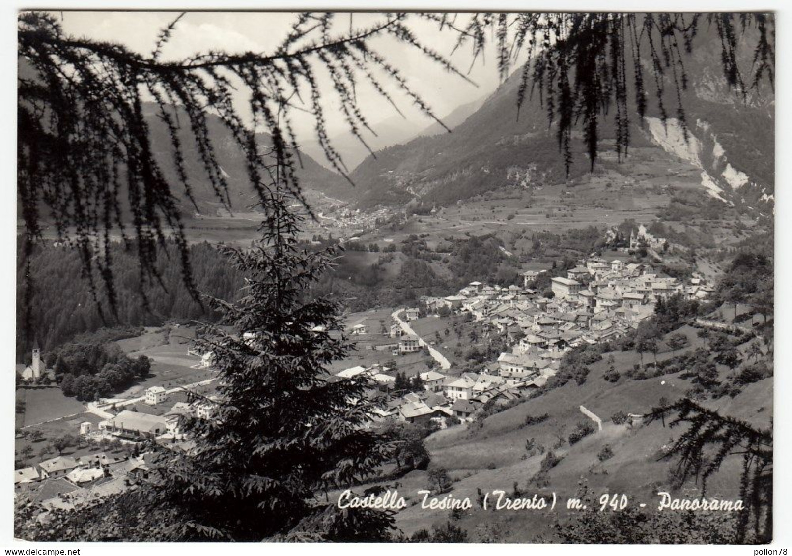 CASTELLO TESINO - PANORAMA - TRENTO - 1966 - Trento