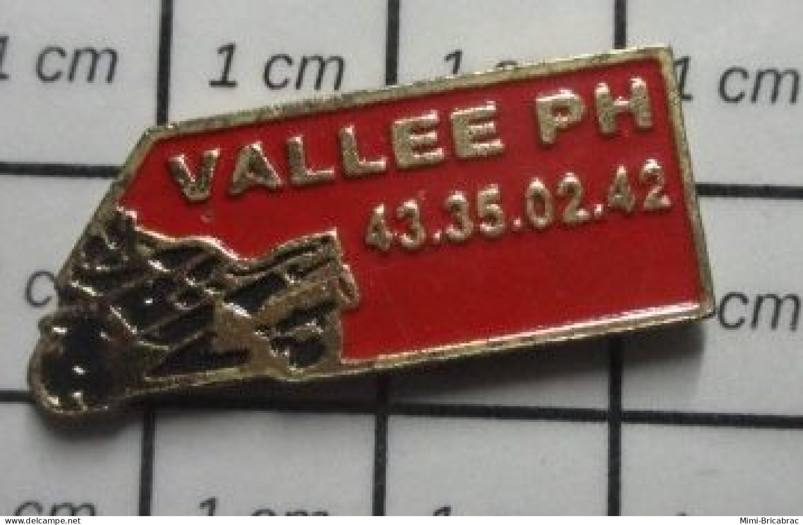 513F Pin's Pins / Beau Et Rare / MOTOS / MOTO NOIRE VALLEE PHILIPPE - Motos