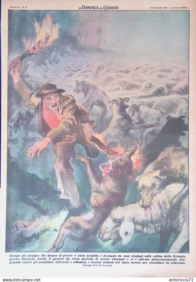 Retrocopertina Domenica Del Corriere Nr. 30 Del 1953 Strage Gregge Grangia Cani - Autres & Non Classés