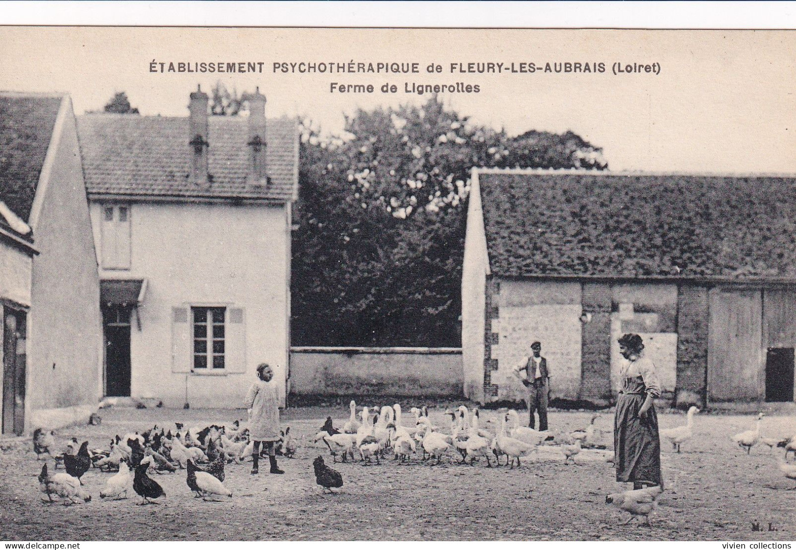 Fleury Les Aubrais (45 Loiret) Ferme De Lignerolles - Basse Cour - Etablissement Psychothérapique - Autres & Non Classés