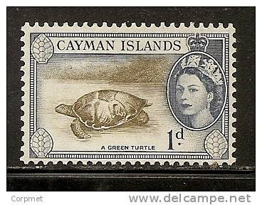 FAUNA  - GREEN TURTLE - TORTUE VERTE -  1953/9  Yvert #  142  - MINT (LH) - Tartarughe