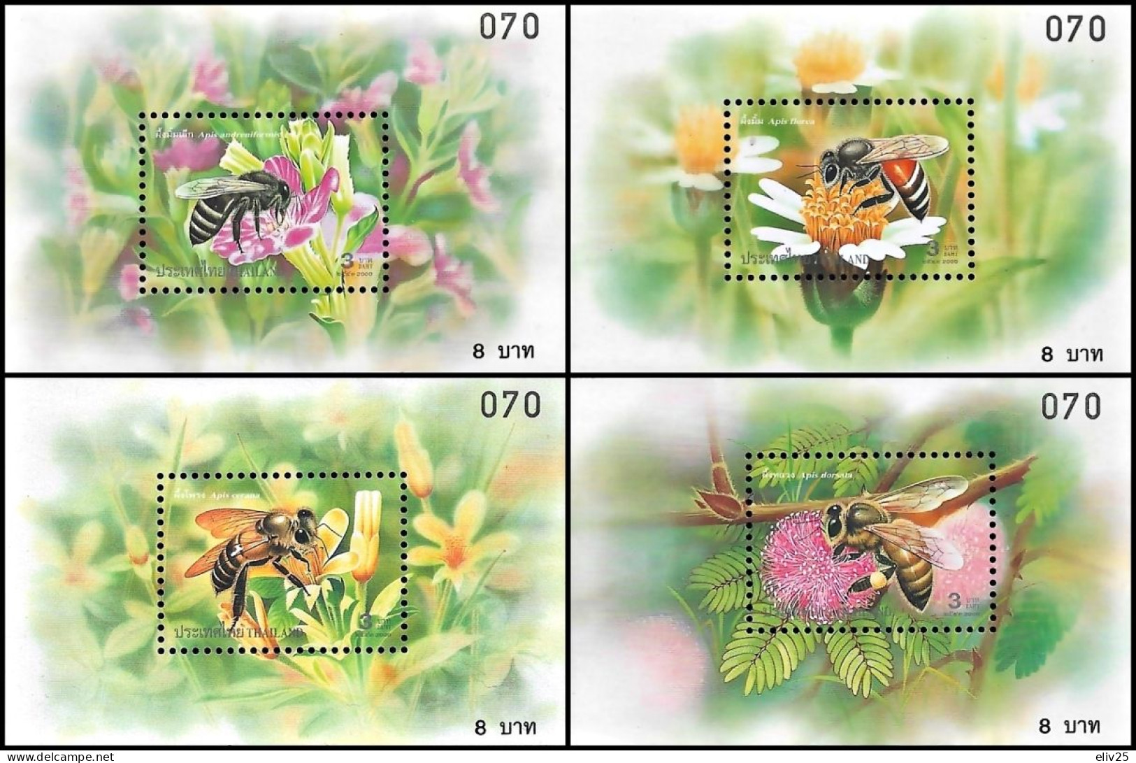 Thailand 2000, Insects Honeybees - 4 S/s MNH - Abejas