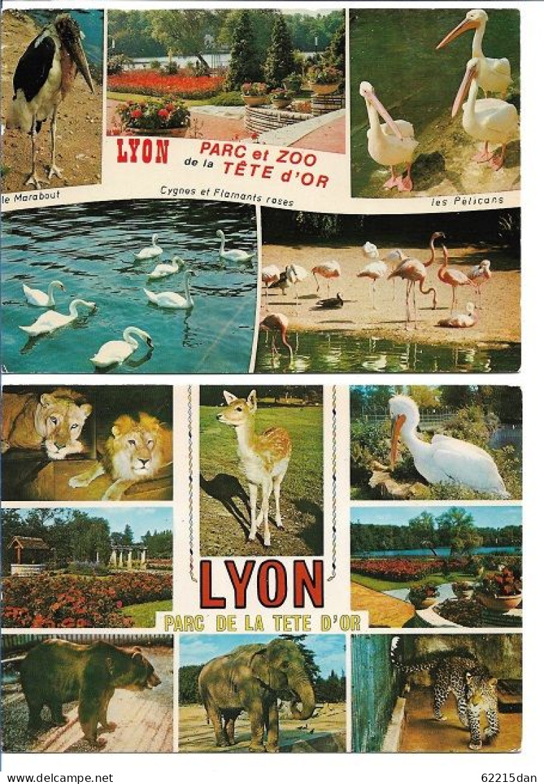 69 . LYON . LE PARC DE LA TÈTE D'OR . LIONS . ÉLÉPHANT . OURS . BICHE . LÉOPARD . MARABOUT . PELICANS . LOT DE 2 CARTES - Autres & Non Classés