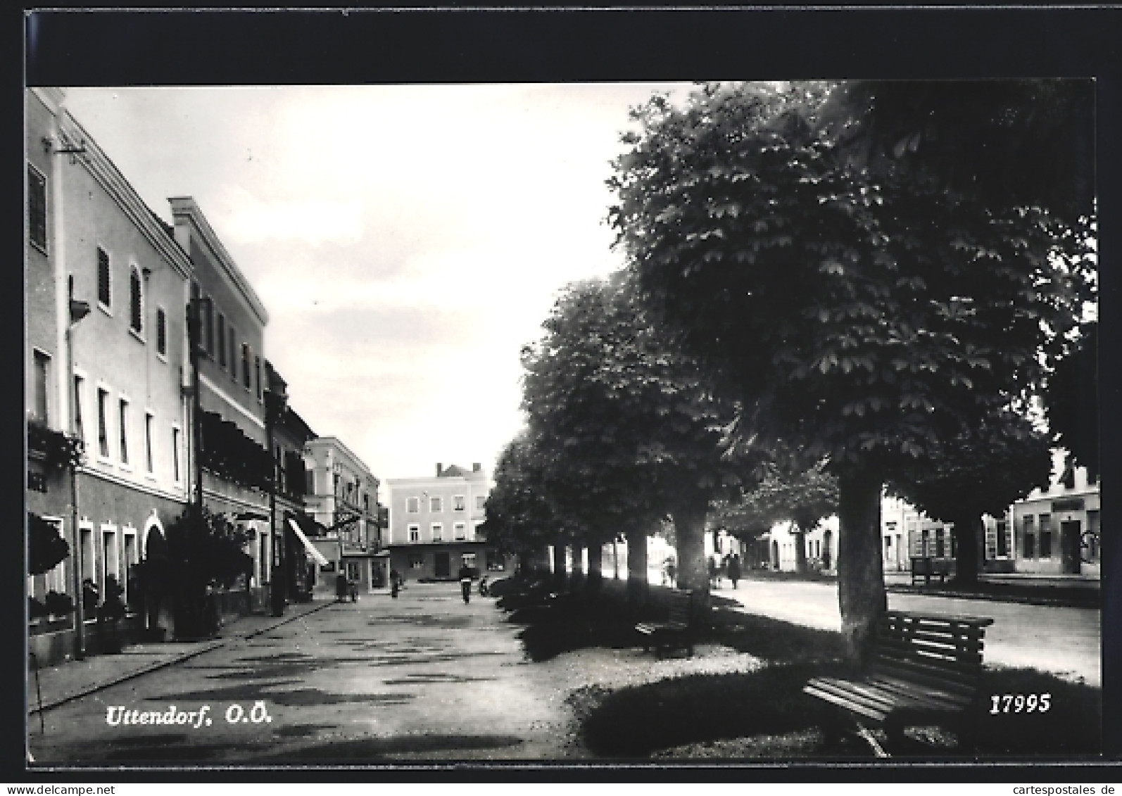 AK Uttendorf /O. Ö., Strassenpartie Mit Alleebäumen  - Otros & Sin Clasificación