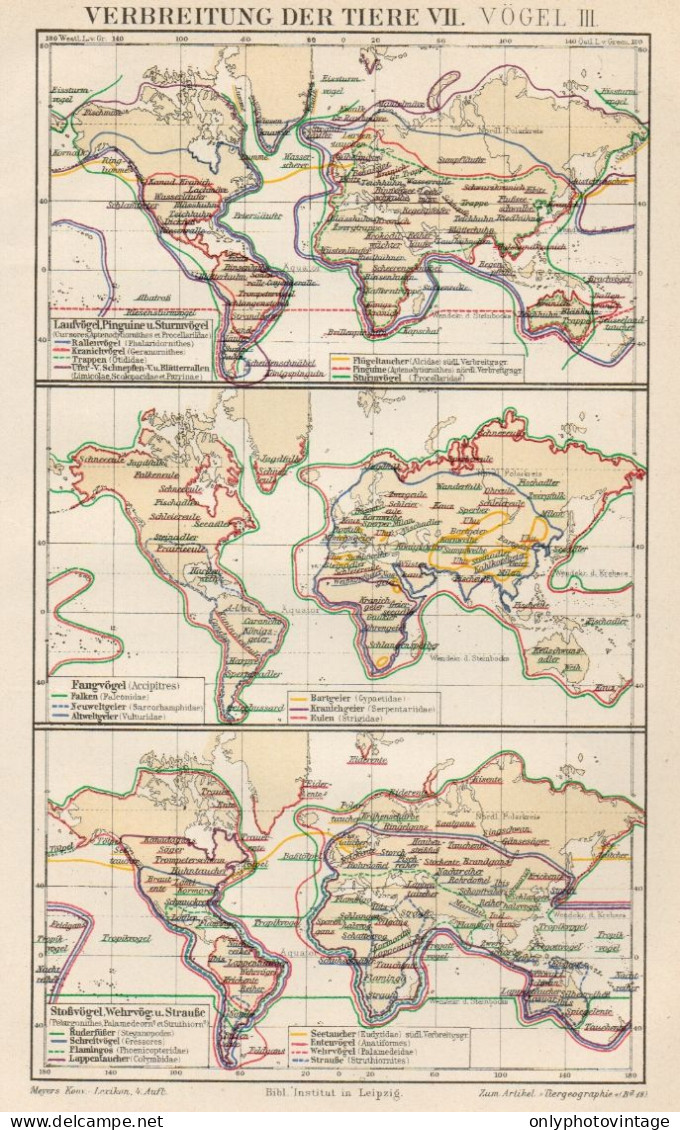 B6173 Diffusione Degli Animali VII - Carta Geografica Antica Del 1891 - Old Map - Geographical Maps
