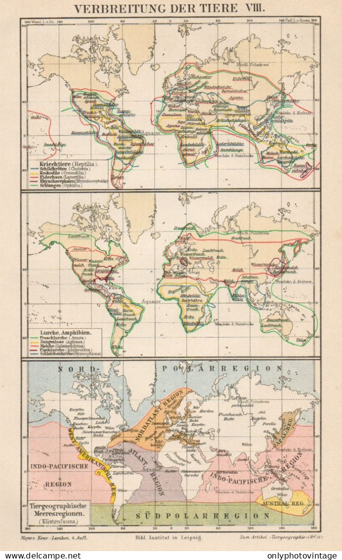 B6170 Diffusione Degli Animali VIII - Carta Geografica Antica Del 1891 - Old Map - Carte Geographique