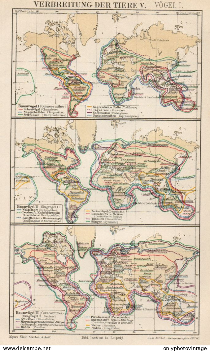 B6171 Diffusione Degli Animali V - Carta Geografica Antica Del 1891 - Old Map - Geographical Maps