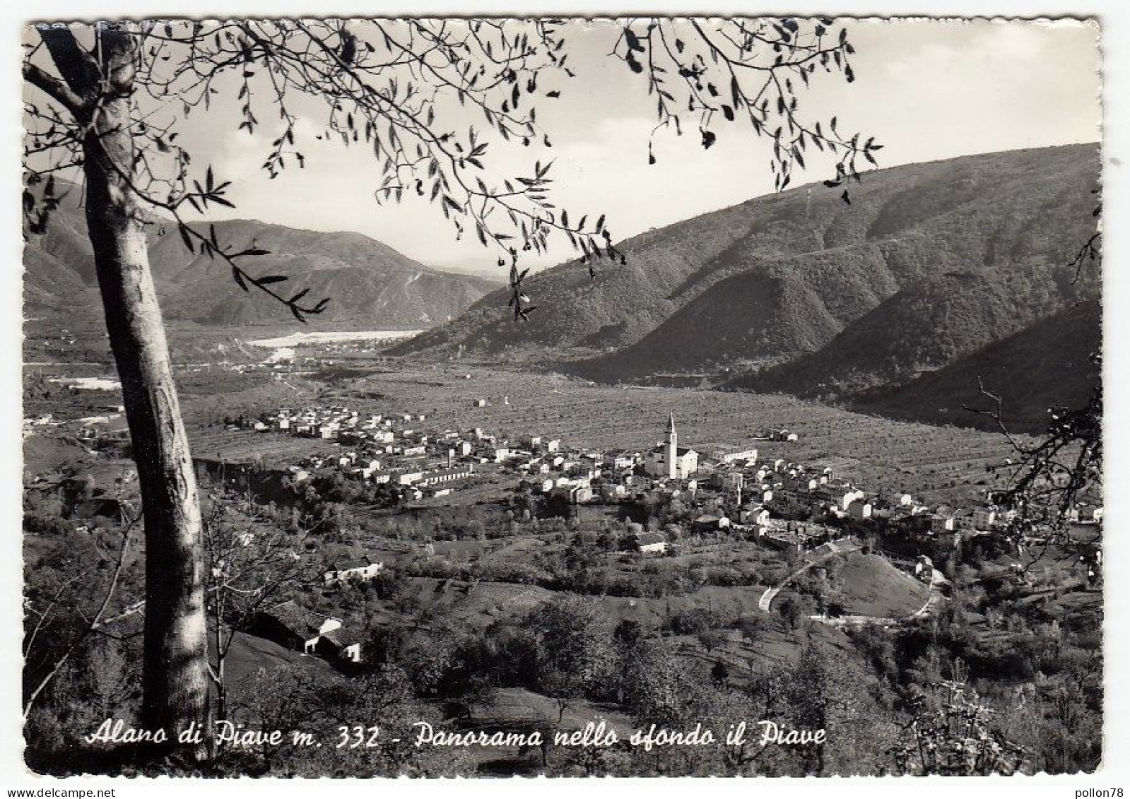 ALANO DI PIAVE - PANORAMA NELLO FONDO IL PIAVE - BELLUNO - 1960 - Belluno