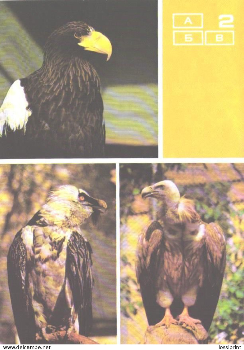 Bird, Moscow Zoo Birds, Eagles, Haliaeetus Pelagicus, Gypaetus Barbatus, Gyps Himalayensis, 1988 - Vögel