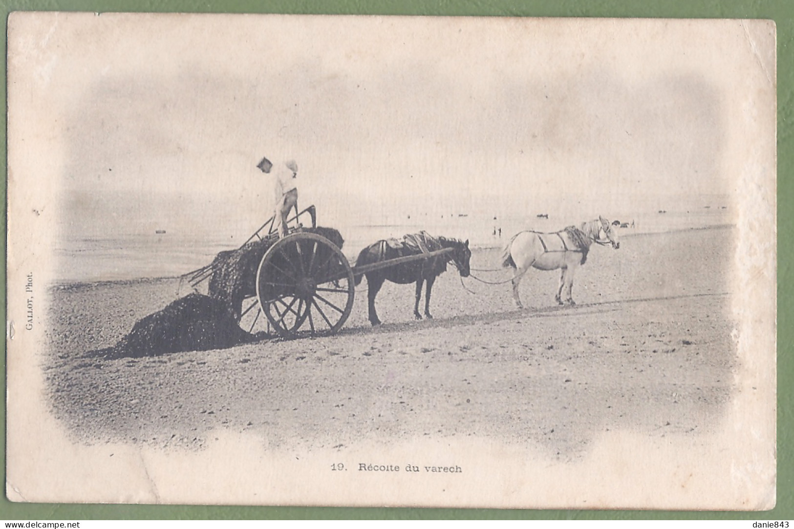 CPA Vue Rare Dos Précurseur - LA RÉCOLTE DU VARECH - Petit Attelage Sur La Plage - Gallot Photographe - Pêche