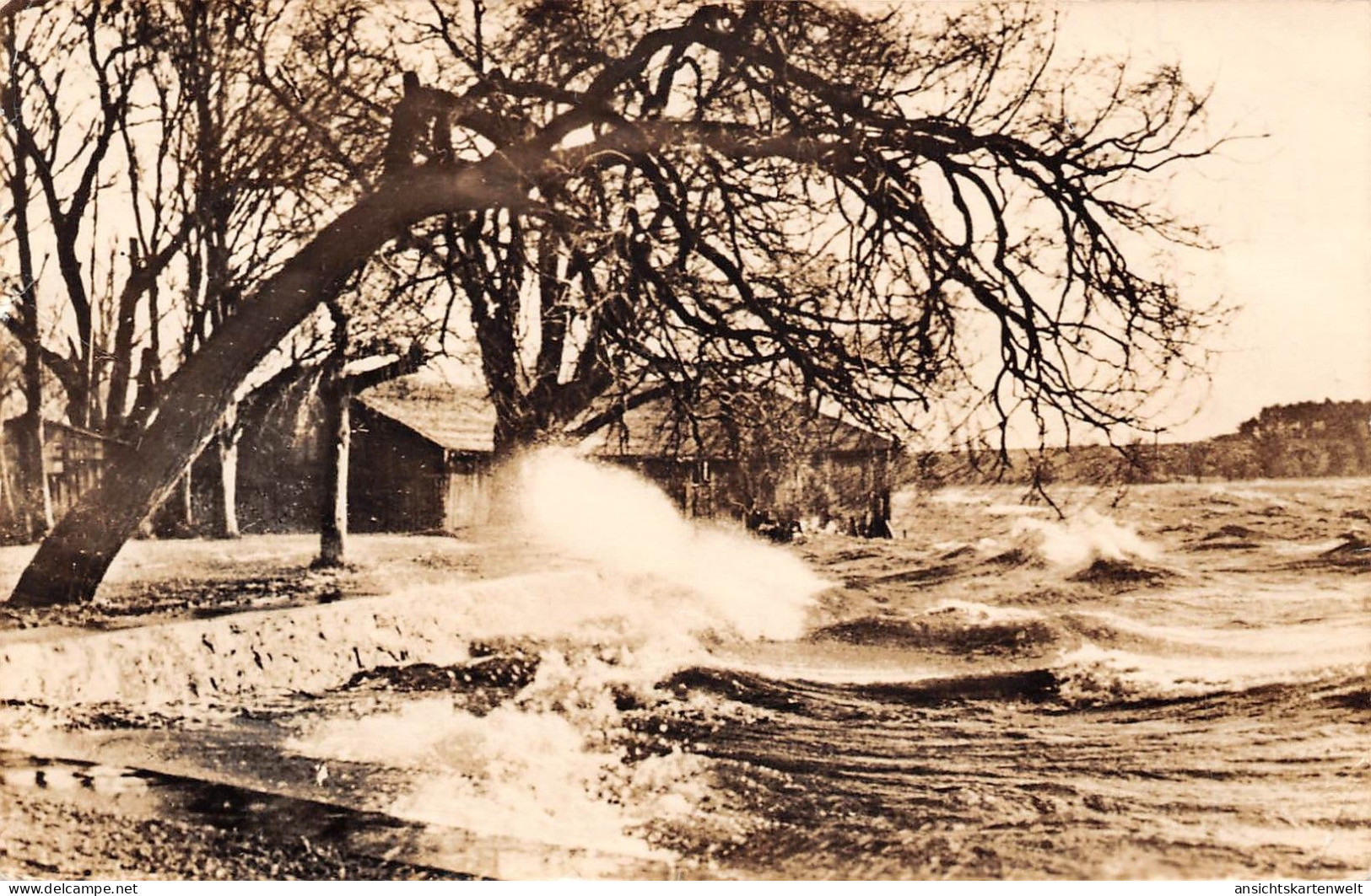 Waren/Müritz Sturm Auf Der Müritz Gl1989 #172.142 - Sonstige & Ohne Zuordnung