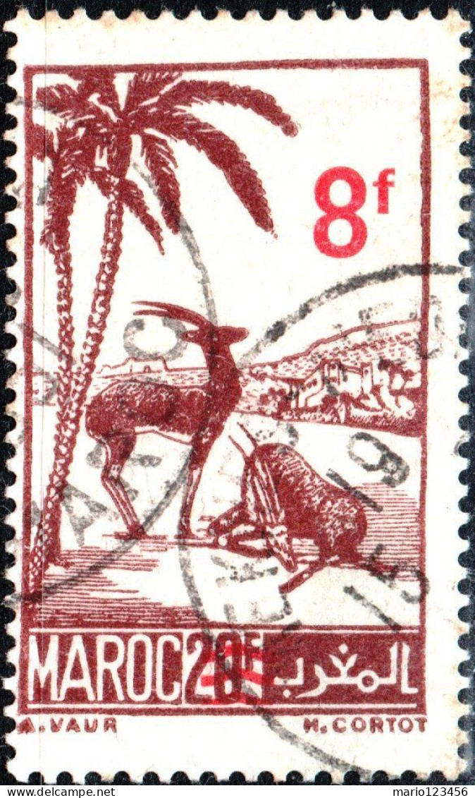 MAROCCO FRANCESE, FRENCH MOROCCO, FAUNA, GAZZELLA, 1948, USATI Scott:FR-MA 244, Yt:MA 270 - Usati