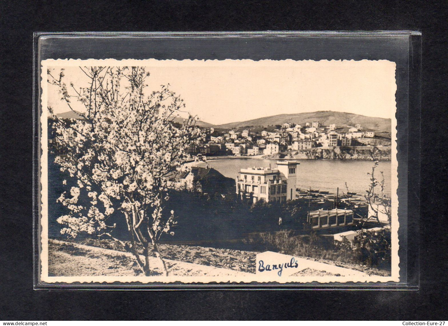 (28/04/24) 66-CPA BANYULS SUR MER - CARTE PHOTO - Banyuls Sur Mer