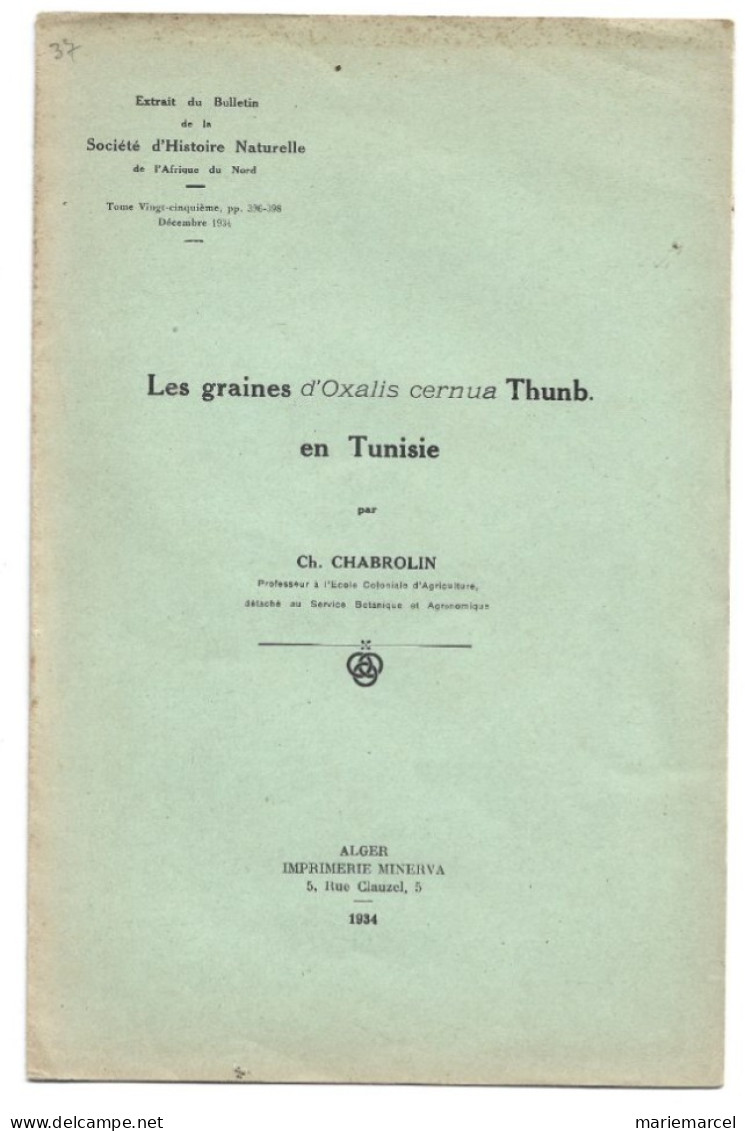 LES GRAINES D'OXALIS CERNUA THUMB. EN TUNISIE. 1934 - Tuinieren