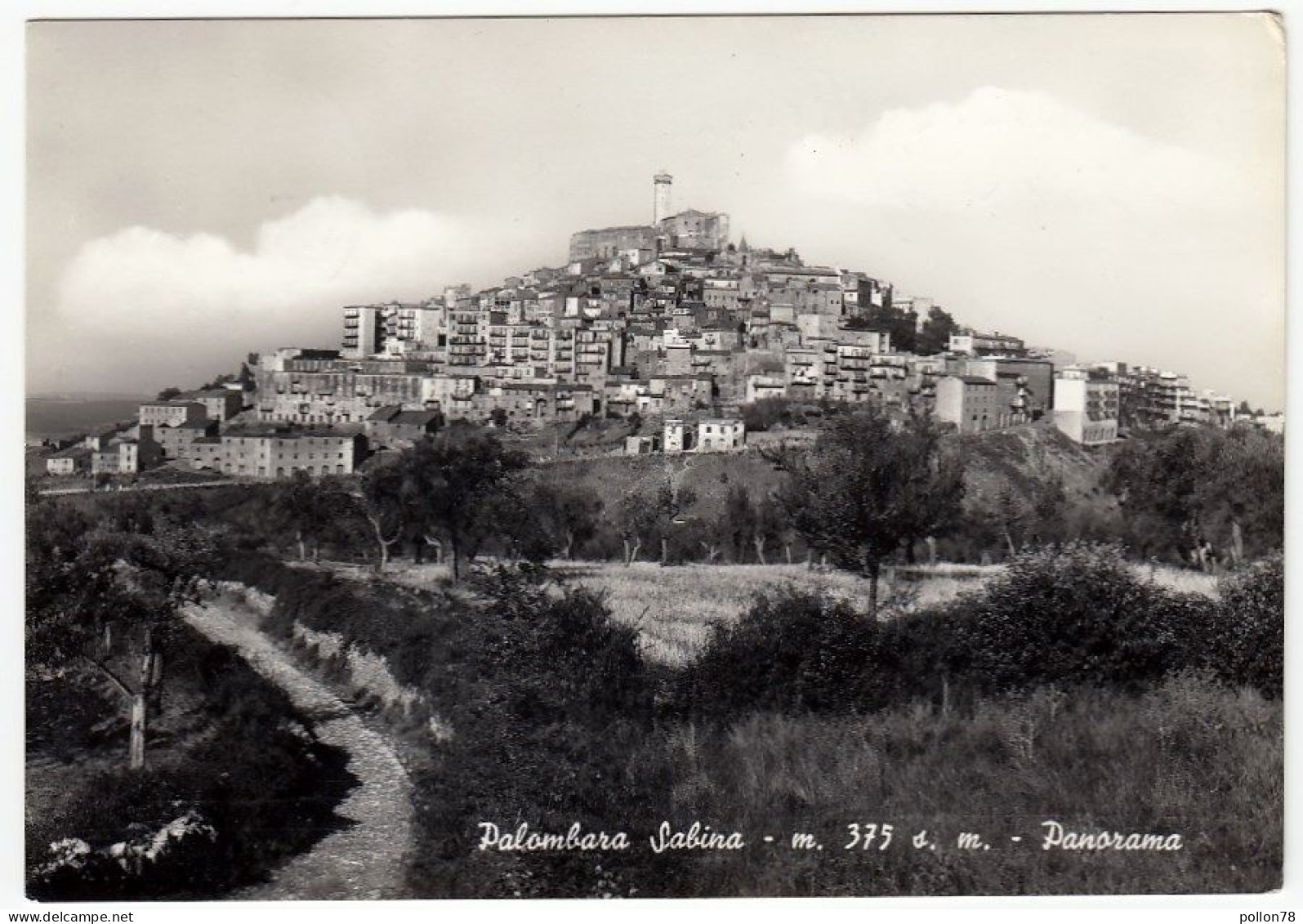 PALOMBARA SABINA - PANORAMA - ROMA - 1965 - Autres & Non Classés