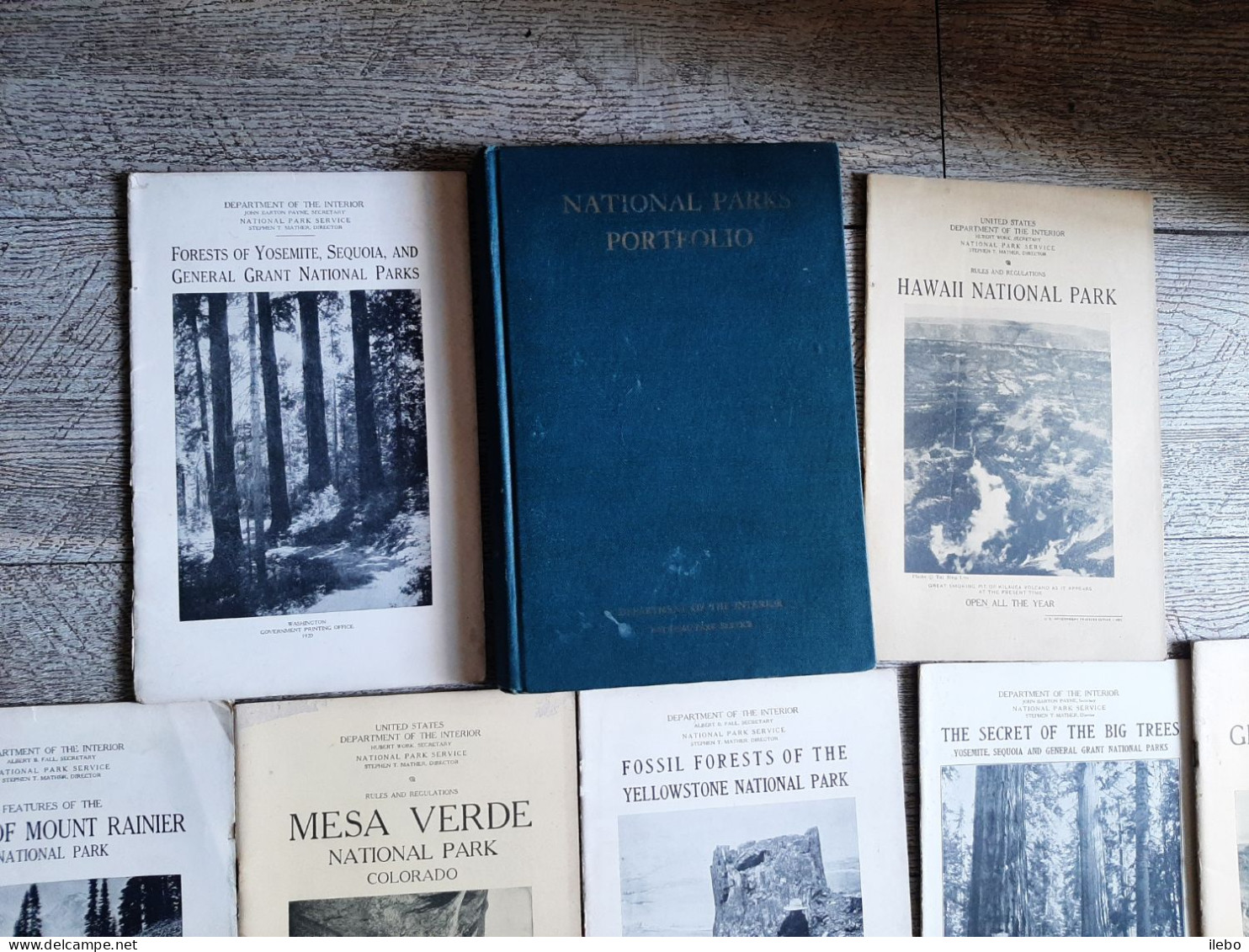 Lot 20 Guides National Parks Guide Portfolio Usa Rules Hawai Yosemite Alaska Glacier Foret Tree - North America