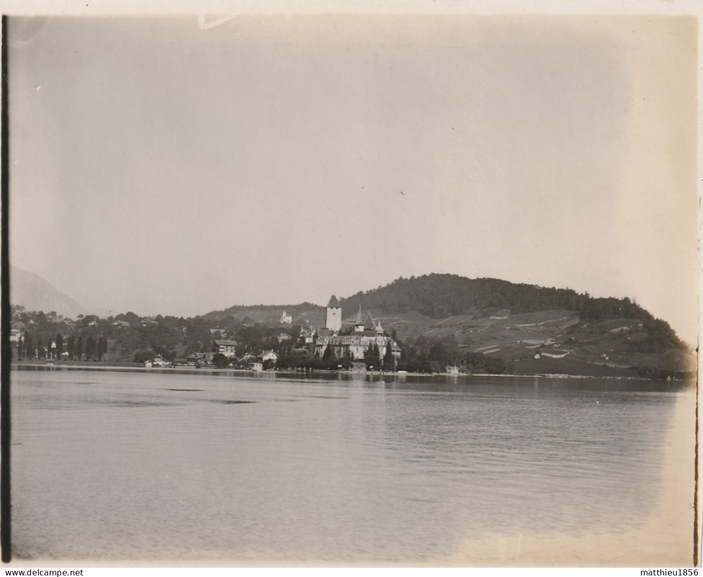 Photo 1901 SPIEZ - Sur Le Lac, Une Vue (A255) - Spiez