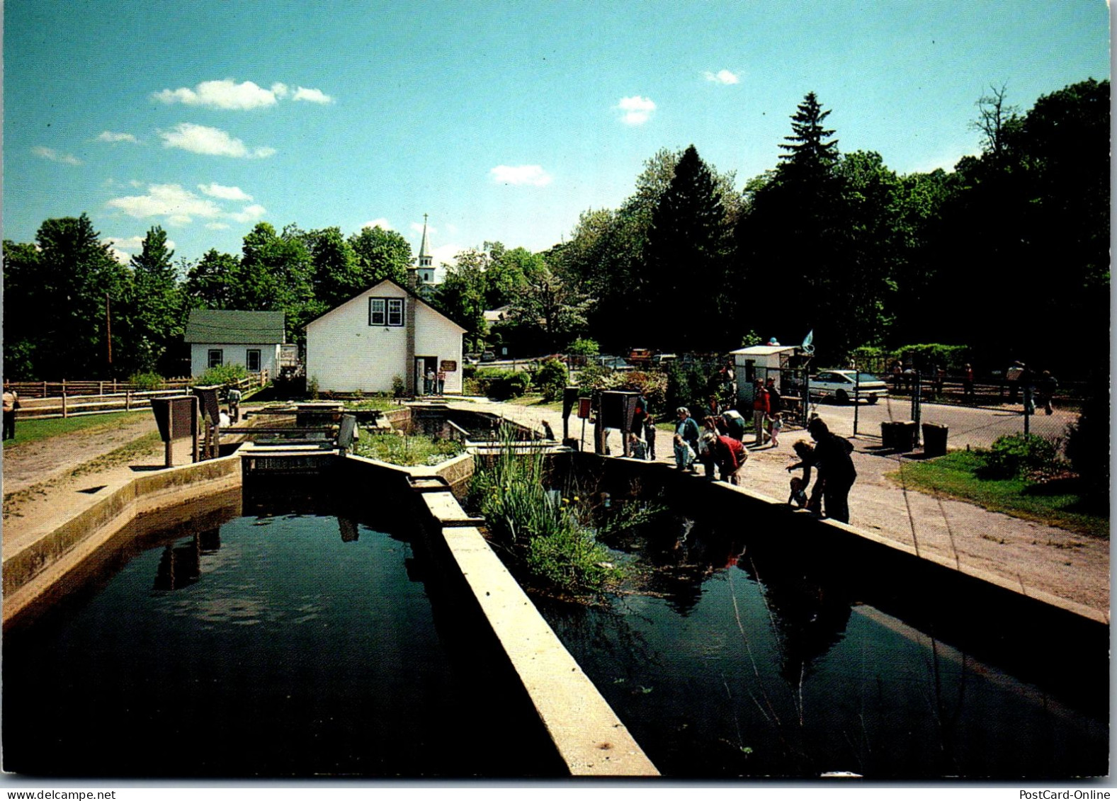 49894 - USA - Long Island , New York , Cold Spring Harbour Fish Hatchery , Aquarium - Nicht Gelaufen  - Long Island