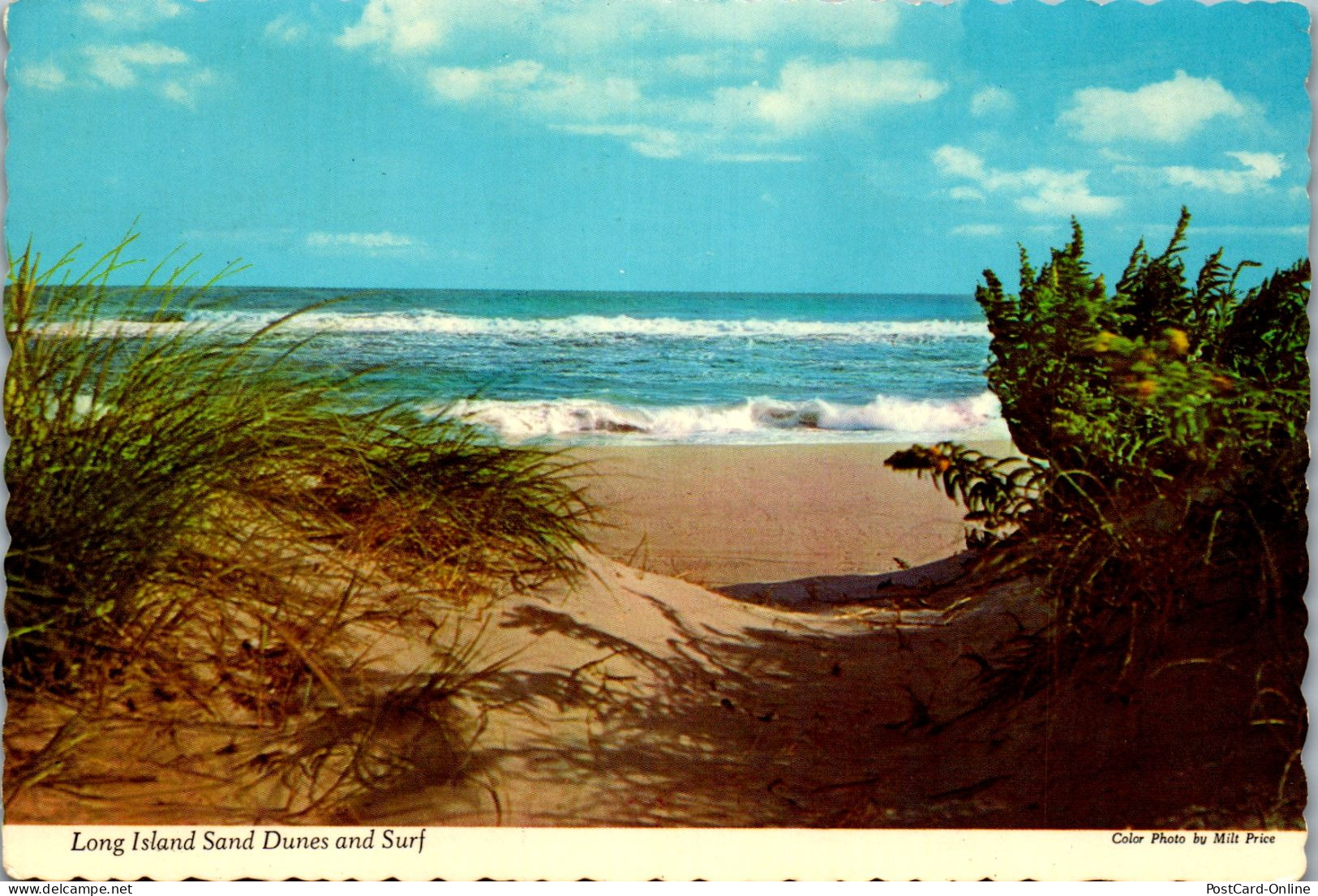 49874 - USA - Long Island , New York , Sand Dunes And Surf - Gelaufen 1974 - Long Island