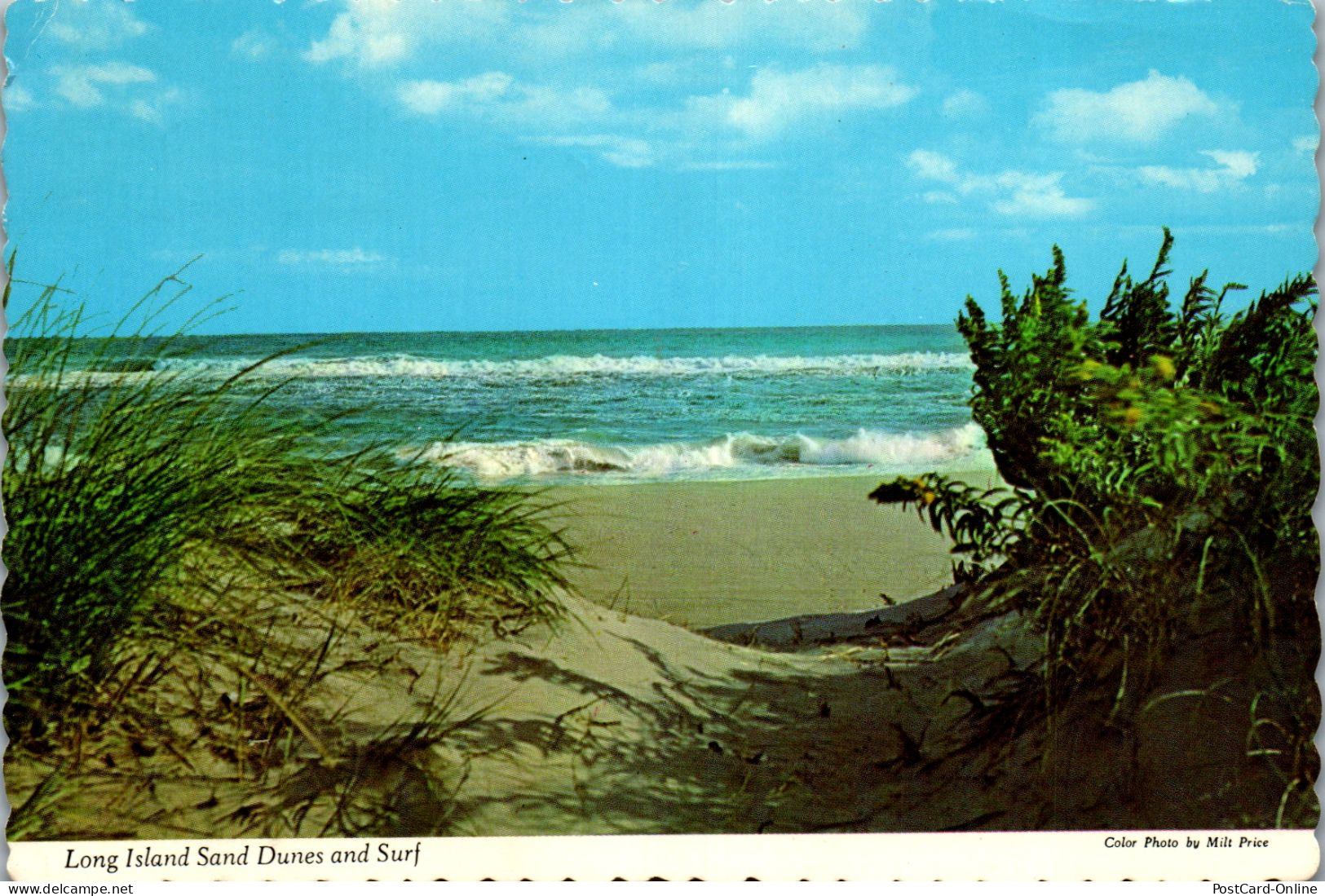 49875 - USA - Long Island , New York , Sand Dunes And Surf - Gelaufen 1978 - Long Island