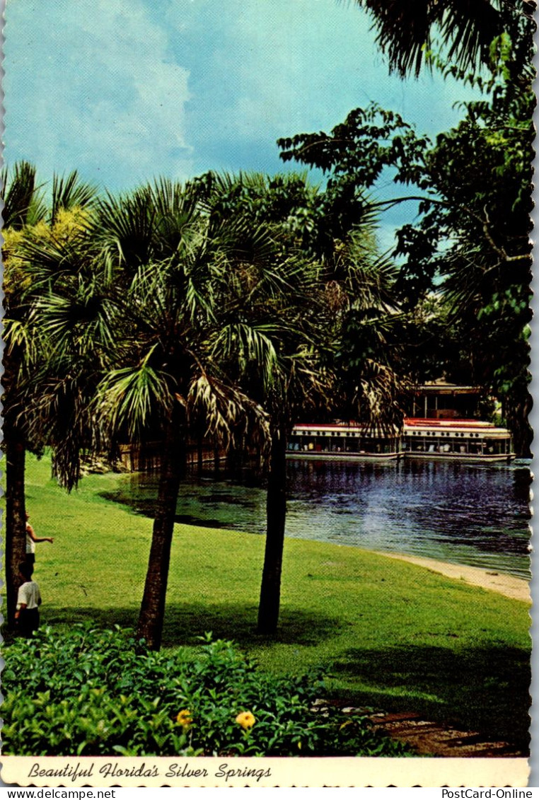 49855 - USA - Florida , Silver Springs - Gelaufen  - Autres & Non Classés