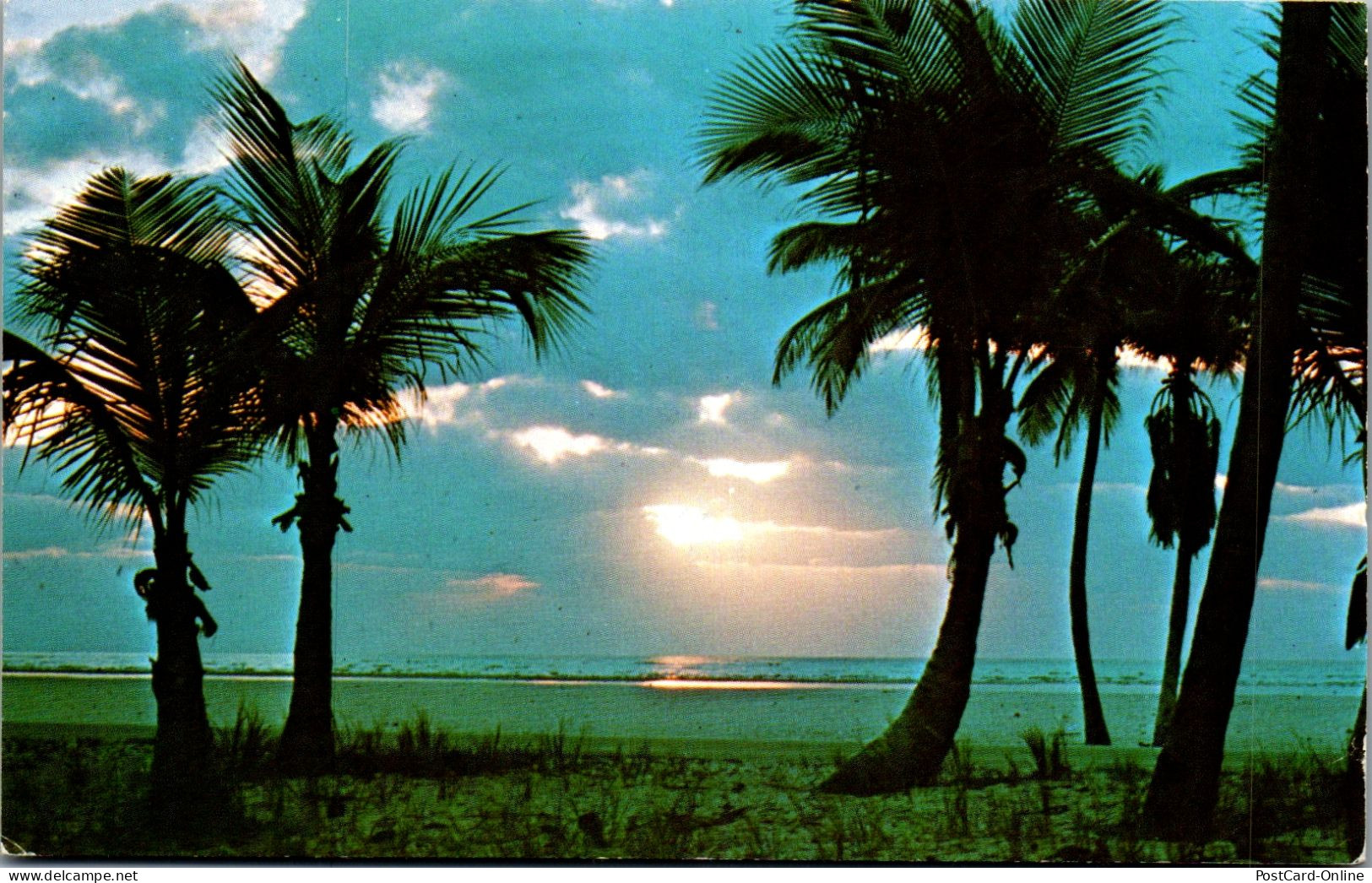 49854 - USA - Florida , Palm Trees , Sunrise - Gelaufen 1975 - Sonstige & Ohne Zuordnung