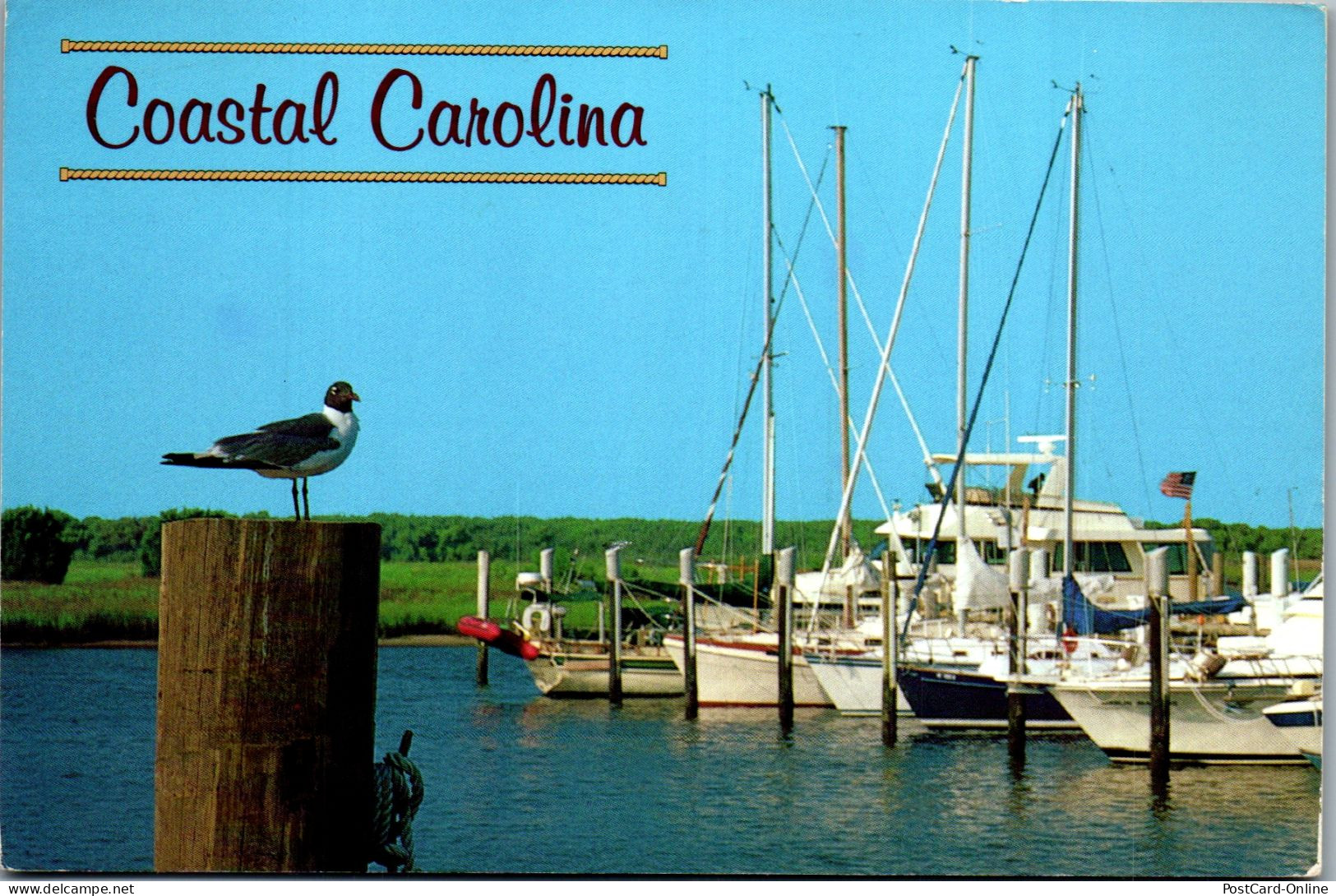 49814 - USA - South Carolina , Coastal Carolina - Gelaufen 1994 - Other & Unclassified