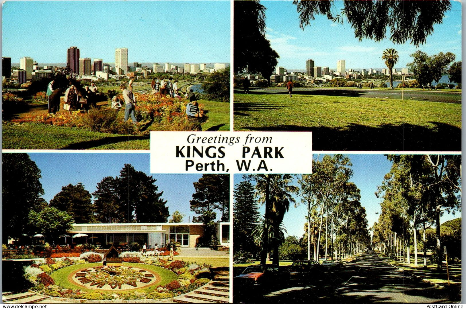 49808 - Australien - Perth , Kings Park , Mehrbildkarte - Gelaufen 1981 - Perth