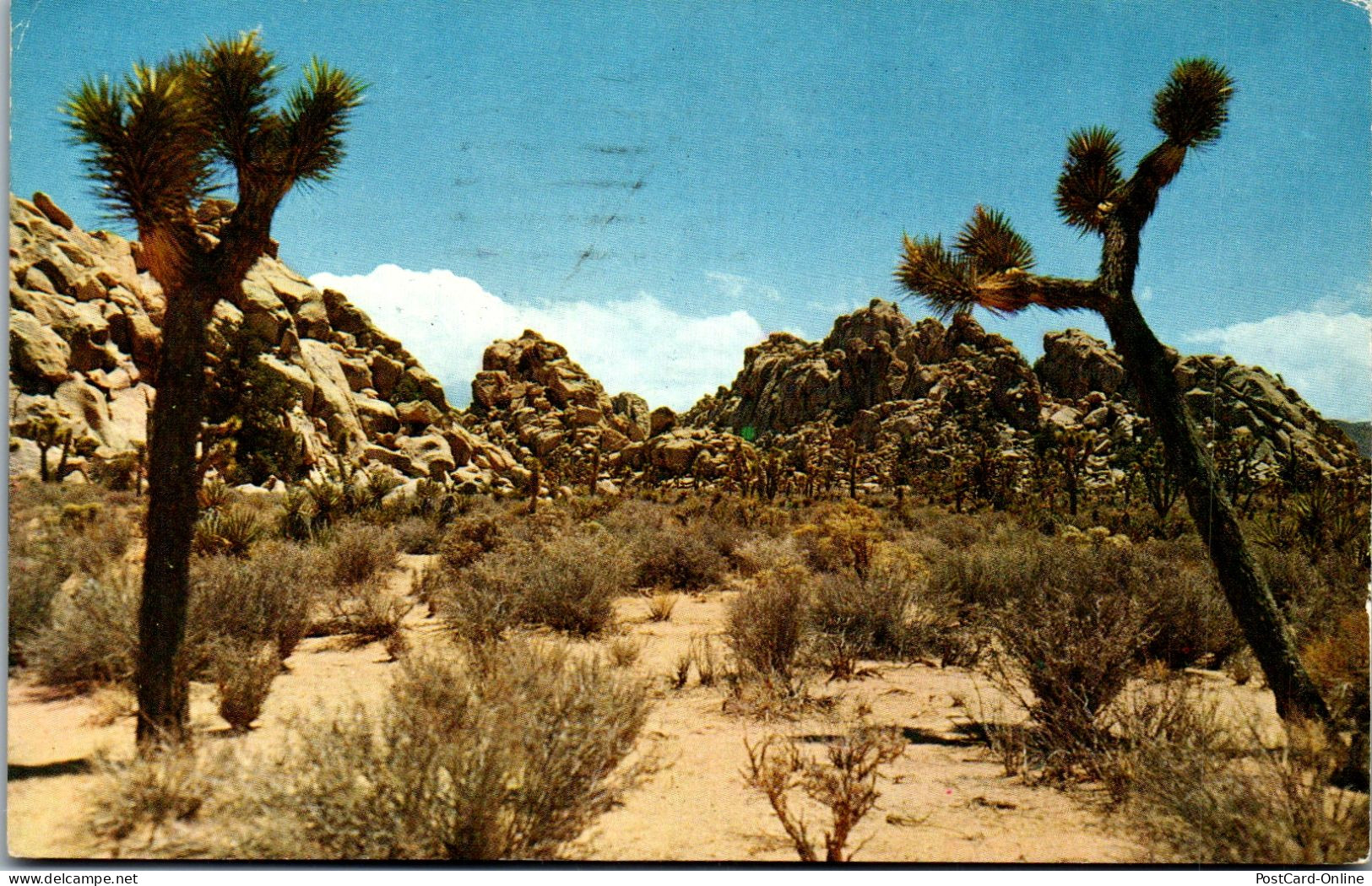 49816 - USA - California , Joshua Tree National Monument - Gelaufen 1962 - Autres & Non Classés