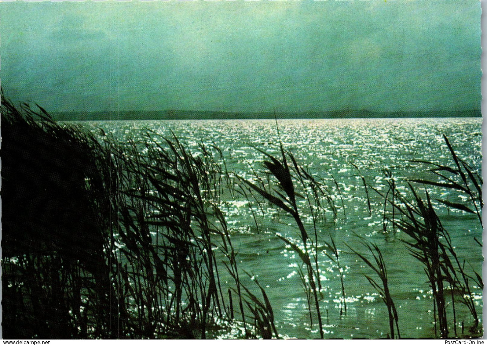 49663 - Burgenland - Neusiedlersee , Abend Am See - Nicht Gelaufen  - Neusiedlerseeorte