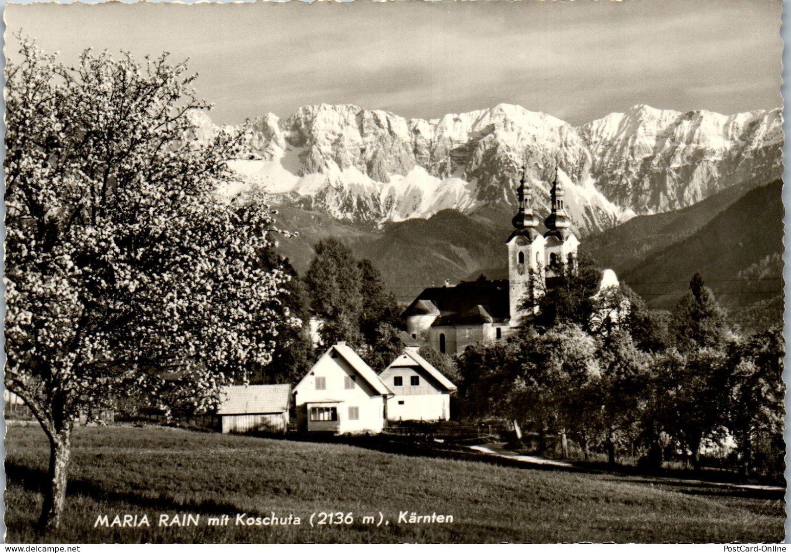 49573 - Kärnten - Maria Rain , Mit Koschuta - Gelaufen  - Klagenfurt