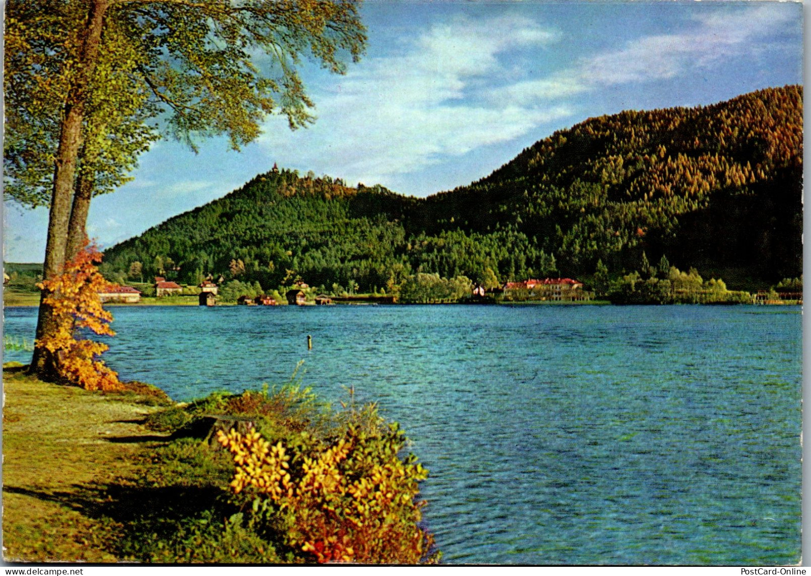 49450 - Kärnten - Klopeinersee , Panorama - Gelaufen 1964 - Klopeinersee-Orte