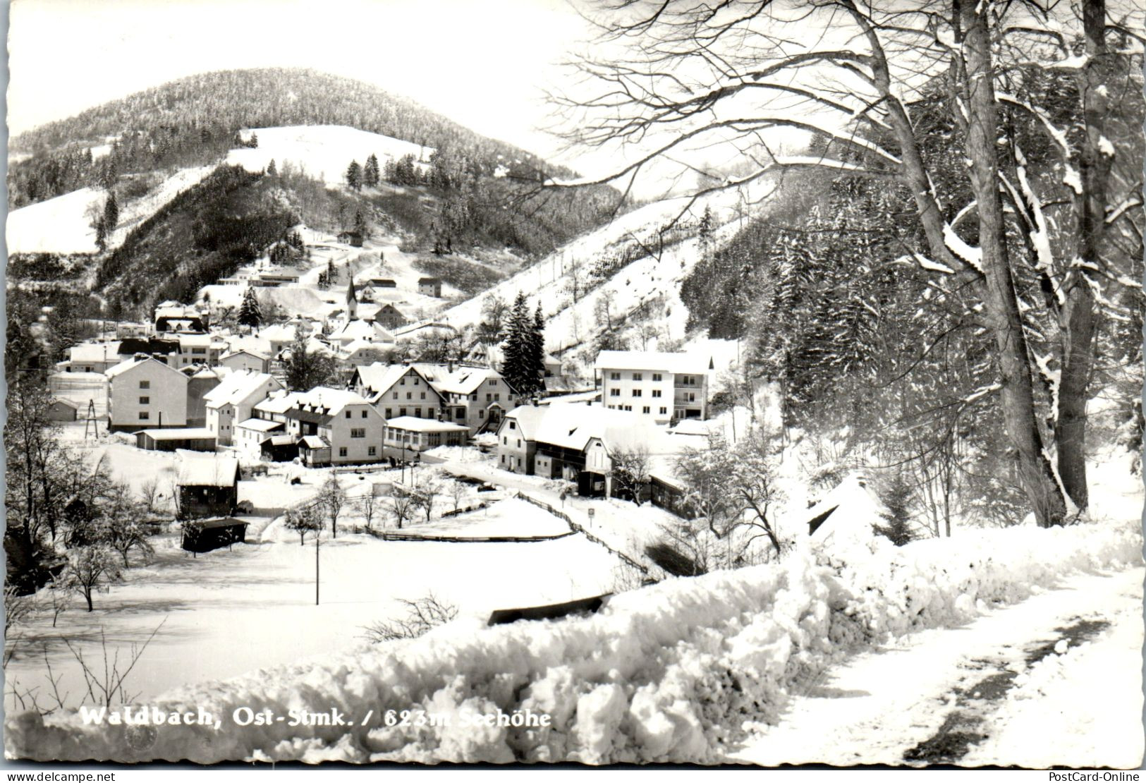 50348 - Steiermark - Waldbach , Panorama Im Winter - Gelaufen 1974 - Hartberg