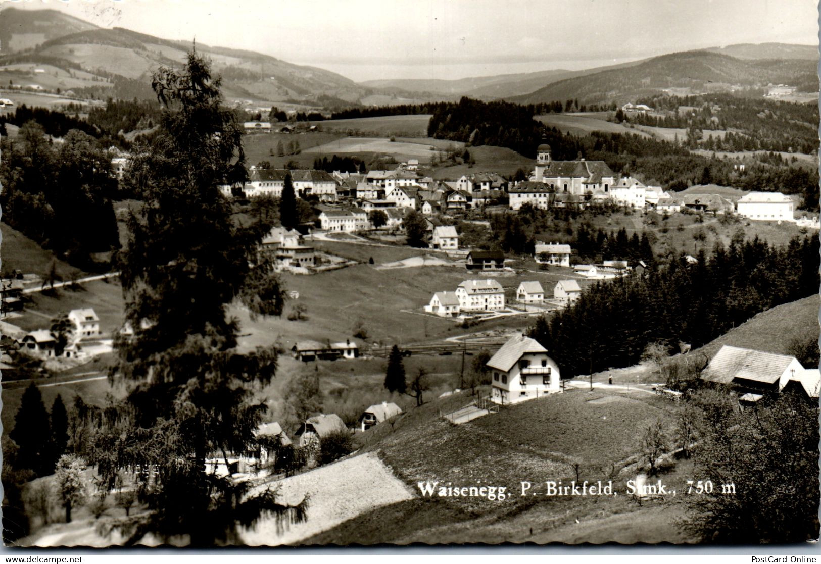 50341 - Steiermark - Waisenegg , Bei Birkfeld , Panorama - Gelaufen 1963 - Birkfeld