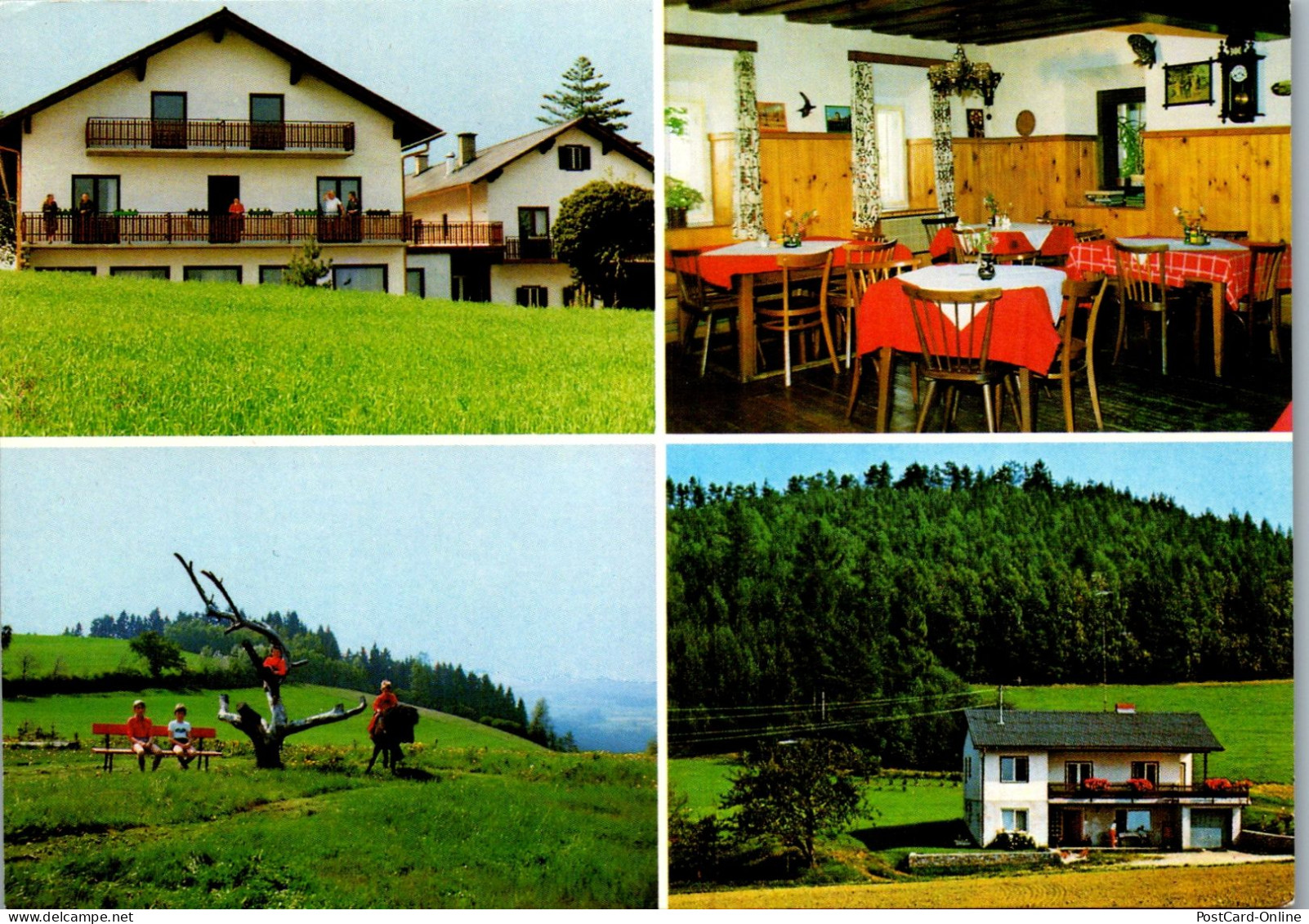 50336 - Steiermark - Vorau , Pension Höller , Kleinschlag - Gelaufen 1982 - Vorau