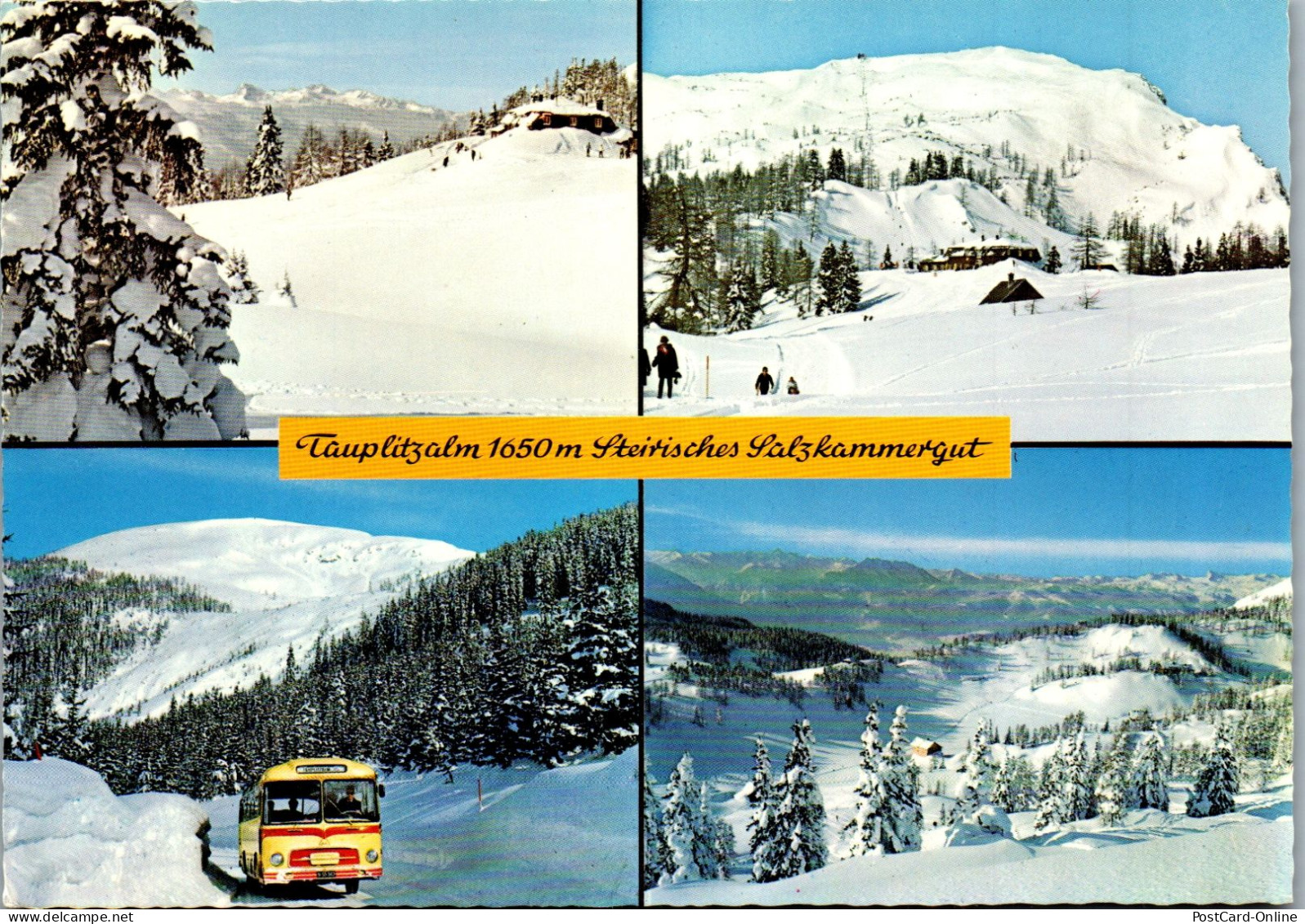 50318 - Steiermark - Tauplitzalm , Winter , Bus , Mehrbildkarte - Nicht Gelaufen  - Tauplitz