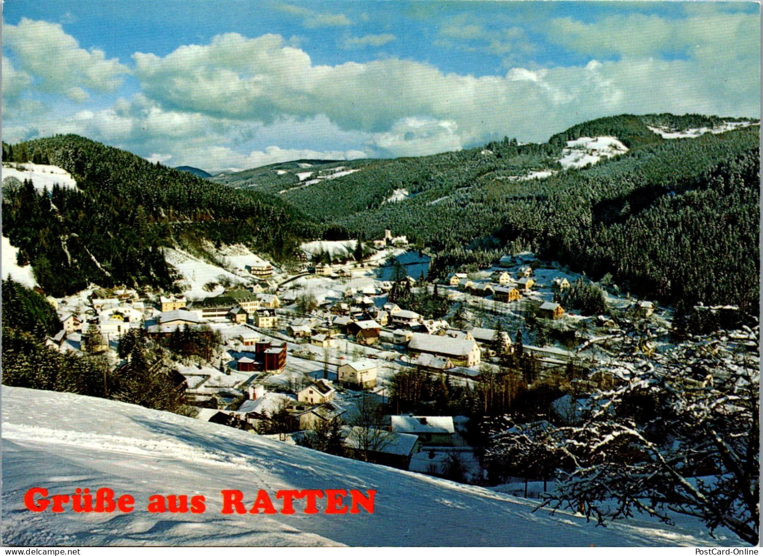 50041 - Steiermark - Ratten , Panorama , Winter - Gelaufen 1980 - Weiz