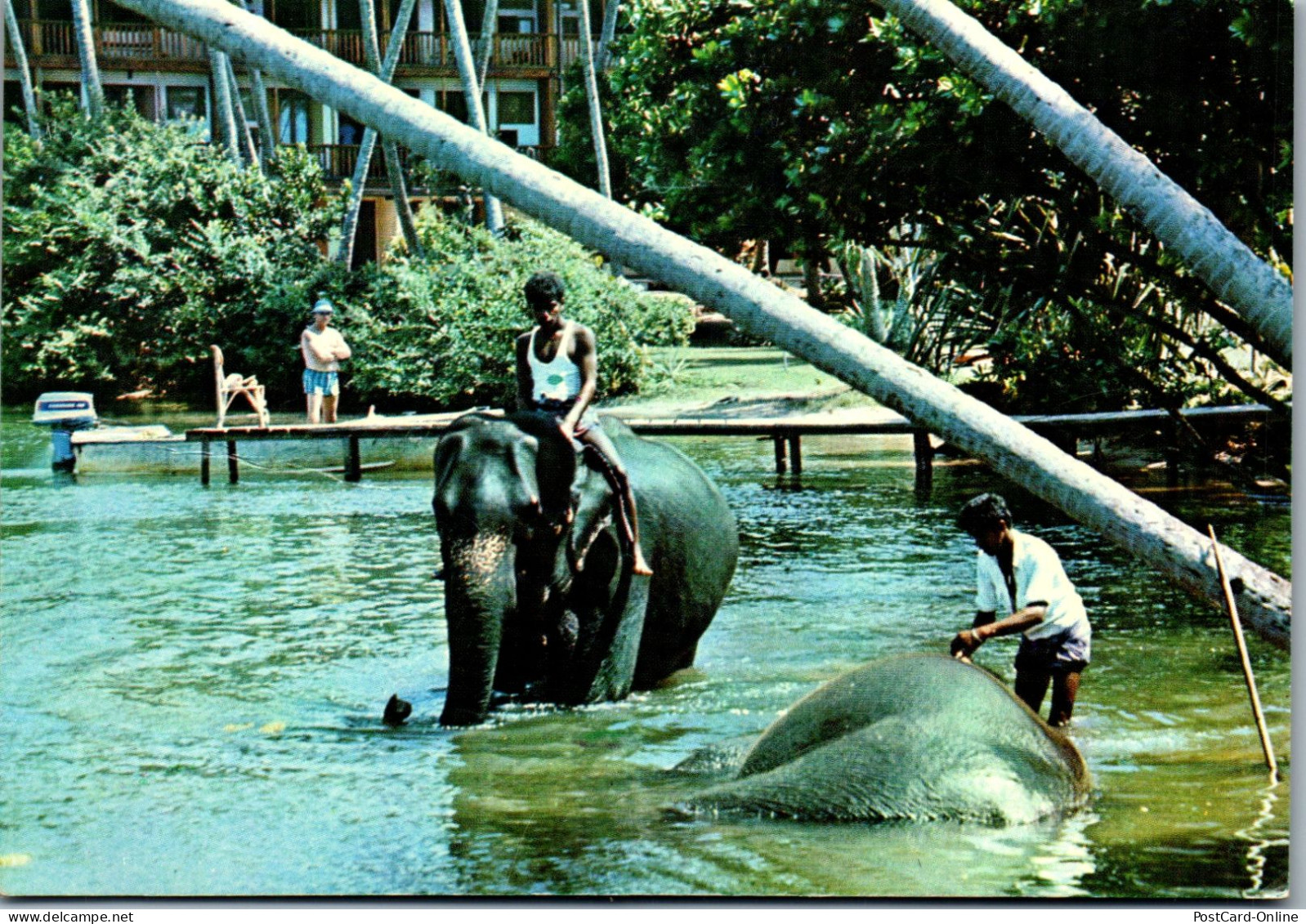 50022 - Sri Lanka - Bentota , Elephant Bathing - Gelaufen  - Sri Lanka (Ceylon)