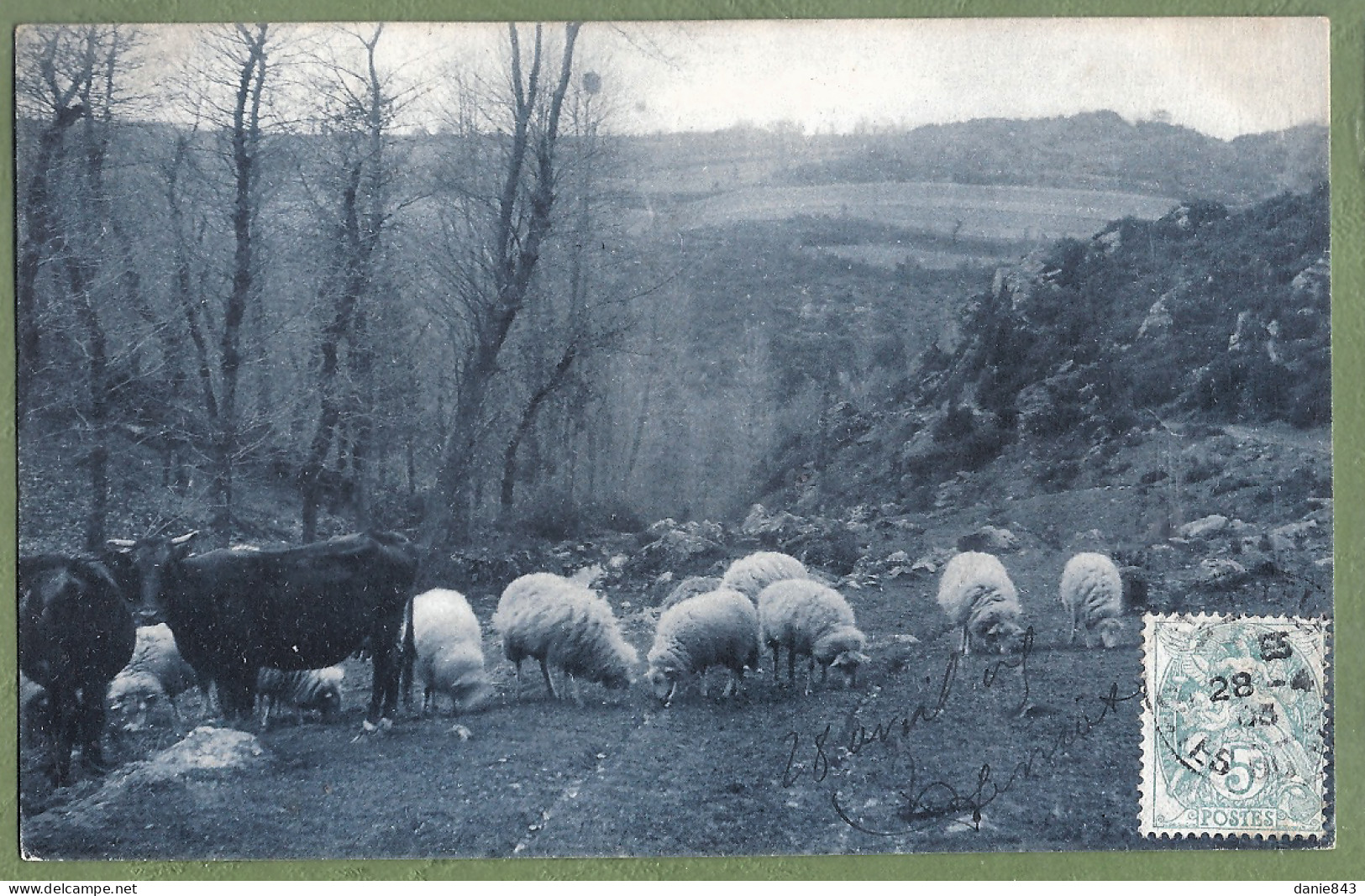 CPA - COTES D'ARMOR - VALLÉE DU GOUET PRES DE SAINT BRIEUC - Vaches Et Moutons Au Paturage - Saint-Brieuc