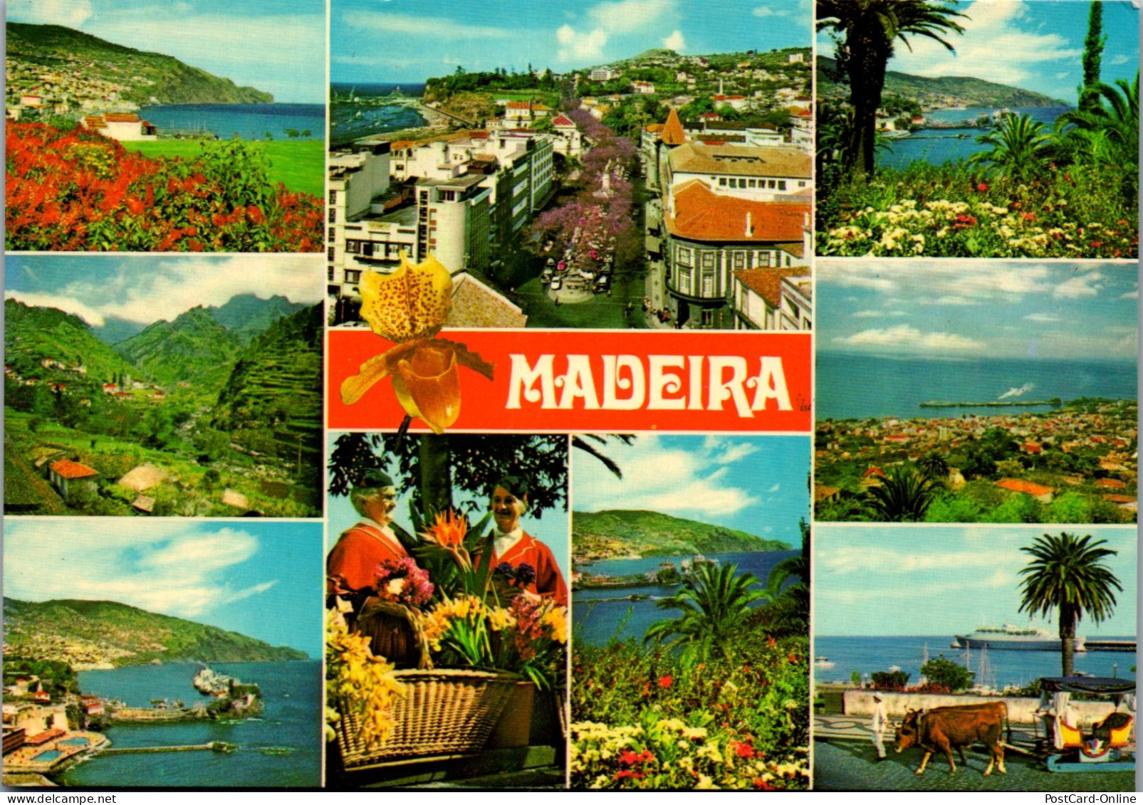 50828 - Portugal - Madeira , Mehrbildkarte - Gelaufen  - Madeira