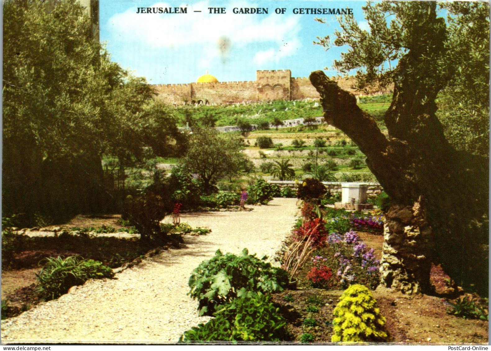 50713 - Israel - Jerusalem , The Garden Of Gethsemane - Gelaufen 1989 - Israel