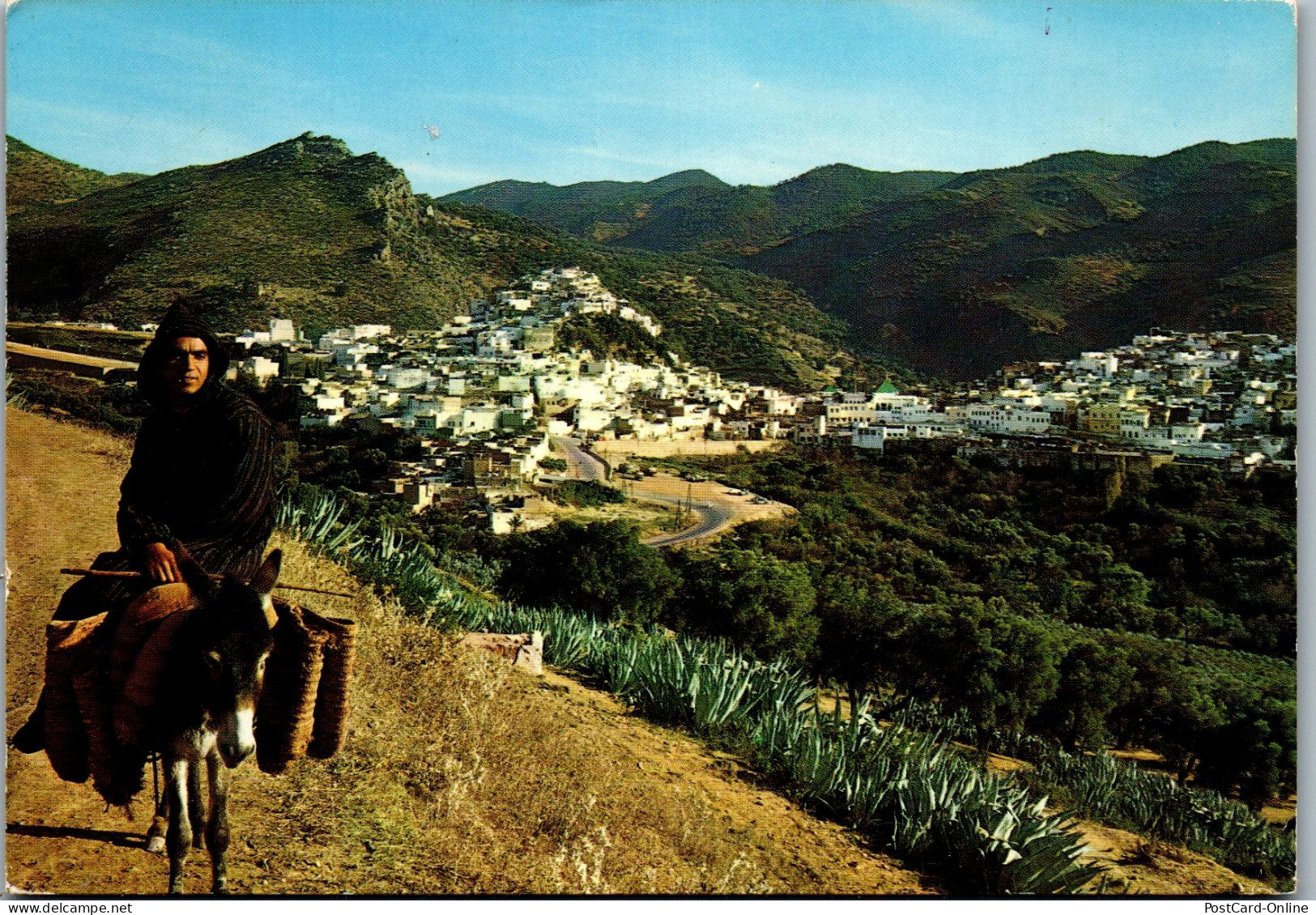 50679 - Marokko - Moulay Idriss , View - Gelaufen 1982 - Fez