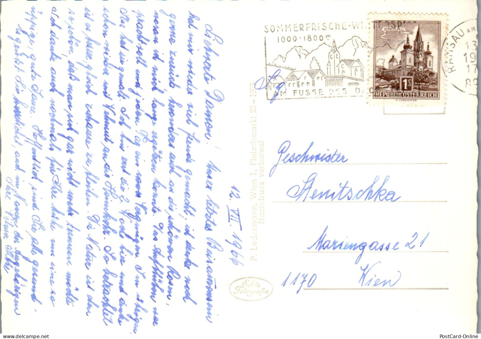 50615 - Steiermark - Ramsau , Am Dachstein , Scheichenspitze - Gelaufen 1966 - Ramsau Am Dachstein