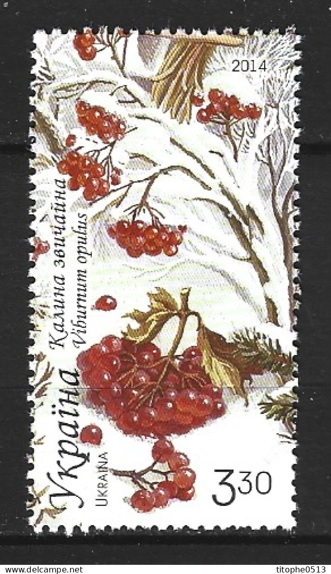 UKRAINE. Timbre Issu Du BF 114 De 2014. Baies Sauvages. - Fruits