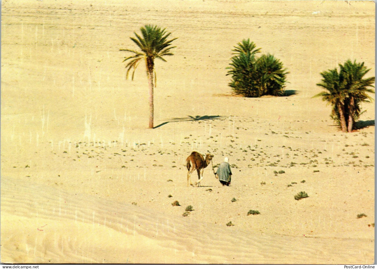 50460 - Tunesien - Sahara , Vers Le Sahara - Gelaufen 1983 - Tunisia