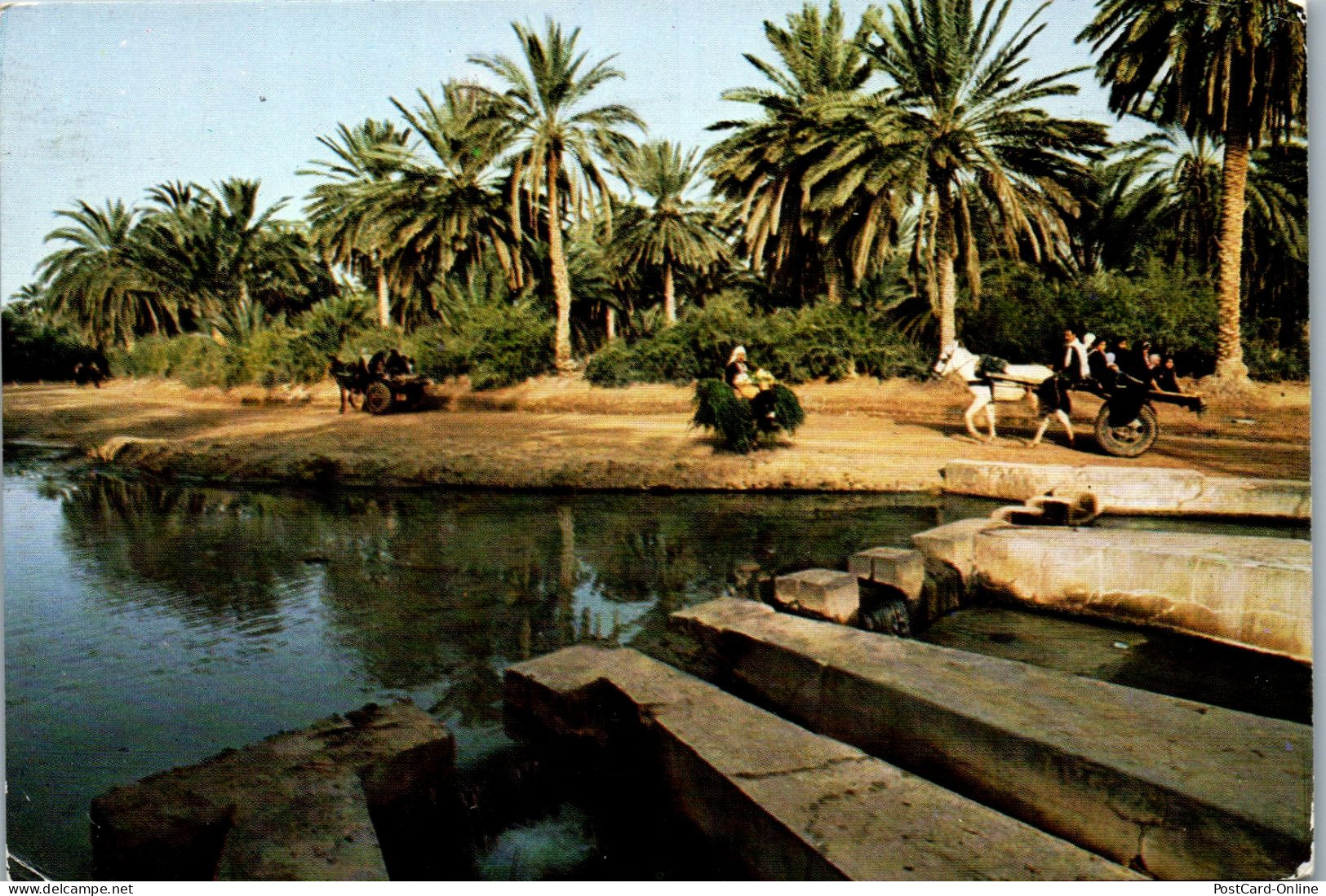 50439 - Tunesien - Tozeur , Le Partage Des Eaux - Gelaufen 1982 - Tunisia