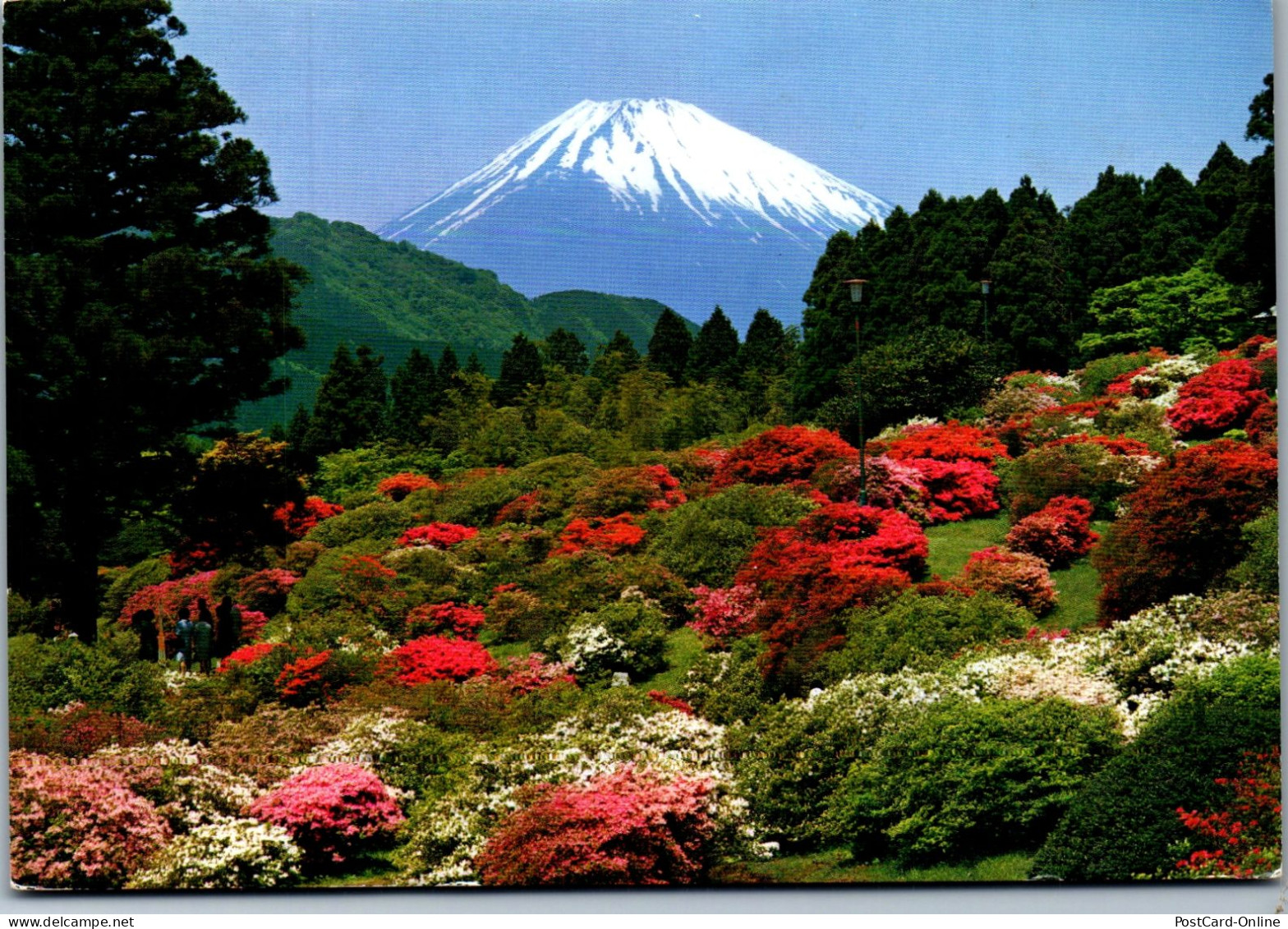 50429 - Japan - Fuji , Mount Fuji  - Gelaufen 1985 - Tokyo