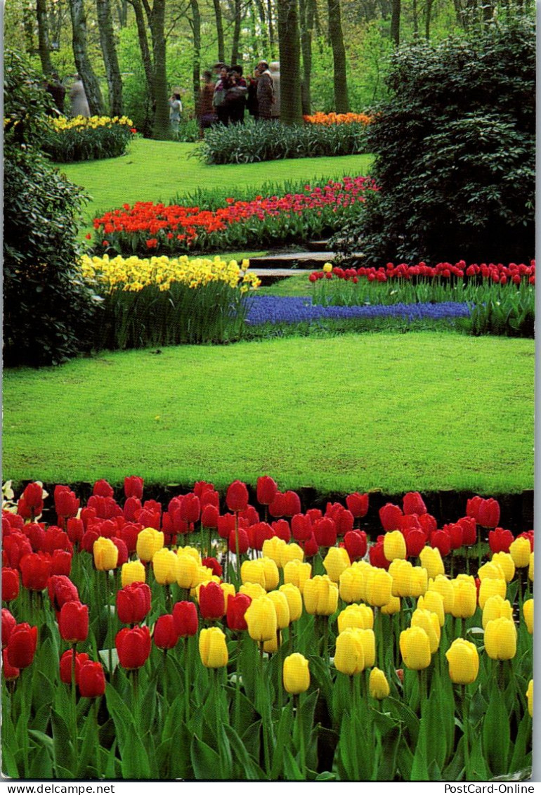 51151 - Niederlande - Lisse , Keukenhof - Gelaufen 1993 - Lisse