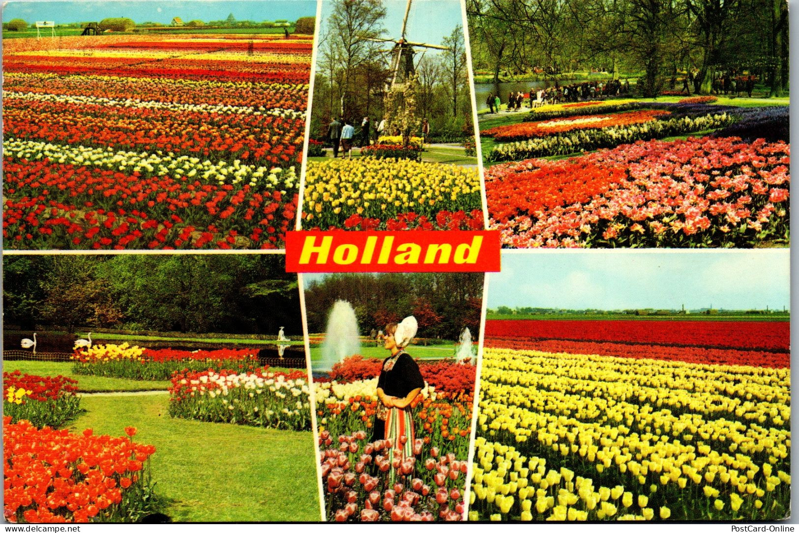 51023 - Niederlande - Blumen , Mehrbildkarte - Gelaufen 1975 - Sonstige & Ohne Zuordnung