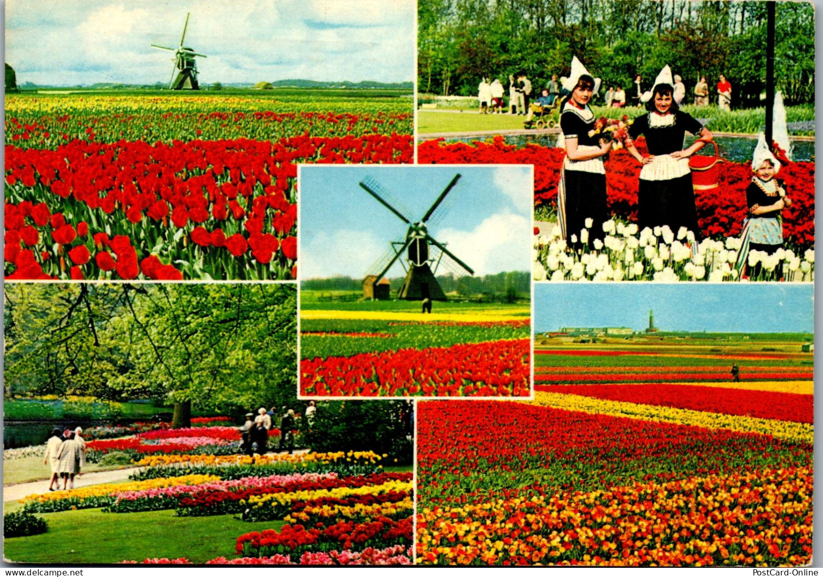 51022 - Niederlande - Blumen , Mehrbildkarte , Nachgebühr Stempel - Gelaufen  - Otros & Sin Clasificación
